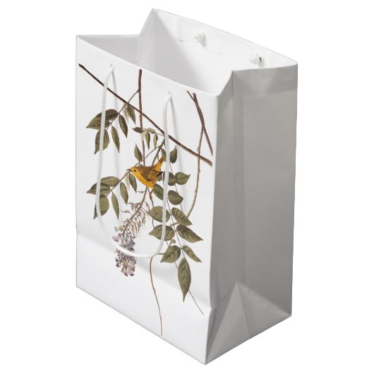 Blauwgeige geelzuchtige vogel op Wisteria Medium Cadeauzakje (Voorkant Gekanteld)