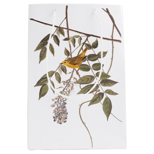 Blauwgeige geelzuchtige vogel op Wisteria Medium Cadeauzakje (Voorkant)