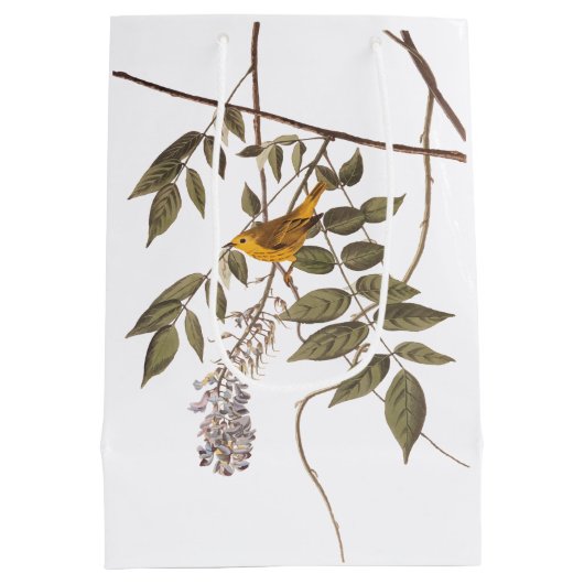 Blauwgeige geelzuchtige vogel op Wisteria Medium Cadeauzakje (Achterkant)