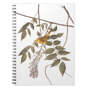 Blauwgeige geelzuchtige vogel op Wisteria Notitieboek