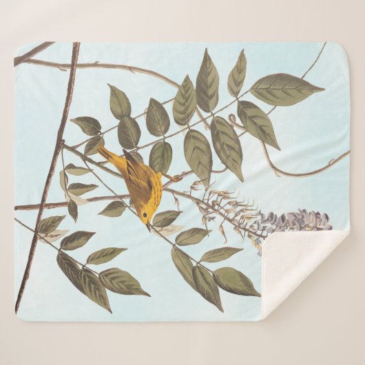 Blauwgeige geelzuchtige vogel op Wisteria Sherpa Deken (Voorkant (horizontaal))