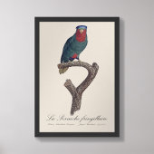 Blauwgekroonde Lori, Vini Australis Foto Afdruk