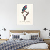 Blauwgekroonde Lorikeet, Vini Australis Canvas Afdruk (Insitu (Slaapkamer))