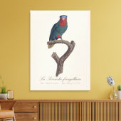 Blauwgekroonde Lorikeet, Vini Australis Canvas Afdruk (Insitu (Woonkamer))