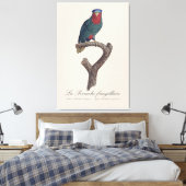 Blauwgekroonde Lorikeet, Vini Australis Canvas Afdruk (Insitu (Slaapkamer))