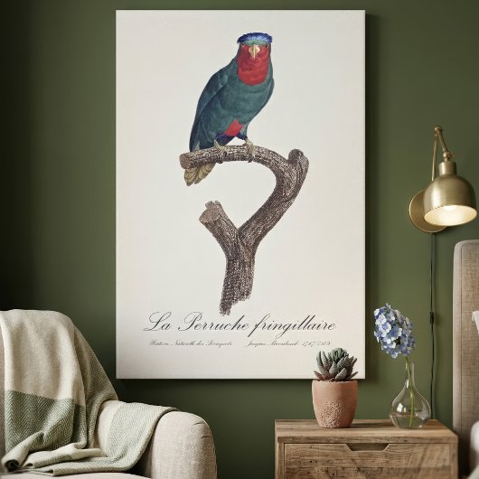 Blauwgekroonde Lorikeet, Vini Australis Canvas Afdruk