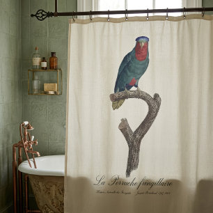 Blauwgekroonde Lorikeet, Vini Australis Douchegordijn