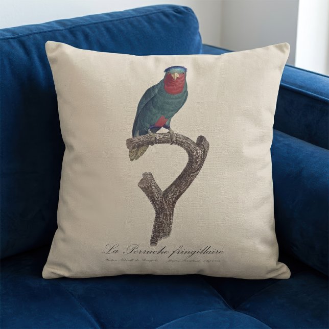 Blauwgekroonde Lorikeet, Vini Australis Kussen (Blue-Crowned Lorikeet, Vini Australis. Throw Pillow)