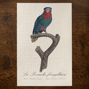 Blauwgekroonde Lorikeet, Vini Australis Legpuzzel