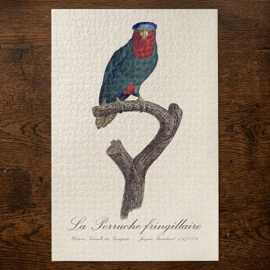 Blauwgekroonde Lorikeet, Vini Australis Legpuzzel