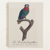 Blauwgekroonde Lorikeet, Vini Australis Planner (Voorkant)