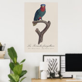 Blauwgekroonde Lorikeet, Vini Australis Poster (Thuiskantoor)