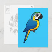 Blauwgele Macaw Briefkaart (Voorkant / Achterkant)