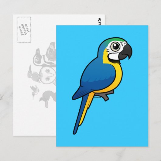 Blauwgele Macaw Briefkaart (Voorkant / Achterkant)
