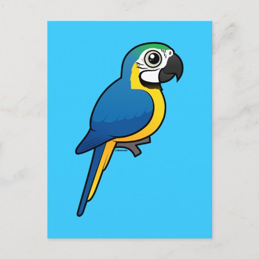 Blauwgele Macaw Briefkaart (Voorkant)