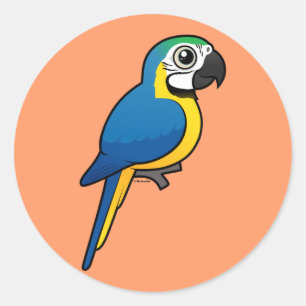 Blauwgele Macaw Ronde Sticker