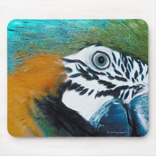 Blauwgele Macawê Muismat (Voorkant)