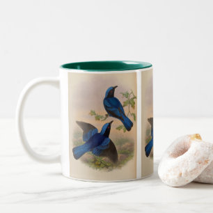 Blauwgemantelde feeënblauwling door John Gould Tweekleurige Koffiemok