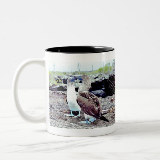 Blauwgestreepte hobby's Inative Galapagos Island B Tweekleurige Koffiemok (Links)
