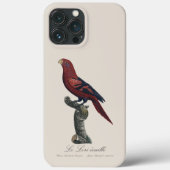 Blauwgestreepte lori, Trichoglossus reticulatus Case-Mate iPhone Case (Achterkant)