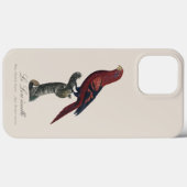 Blauwgestreepte lori, Trichoglossus reticulatus Case-Mate iPhone Case (Achterkant (horizontaal))