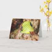 blauwgestreepte vlinder kaart (Gele Bloem)