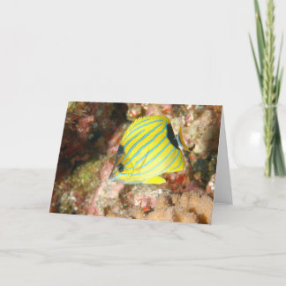 blauwgestreepte vlinder kaart