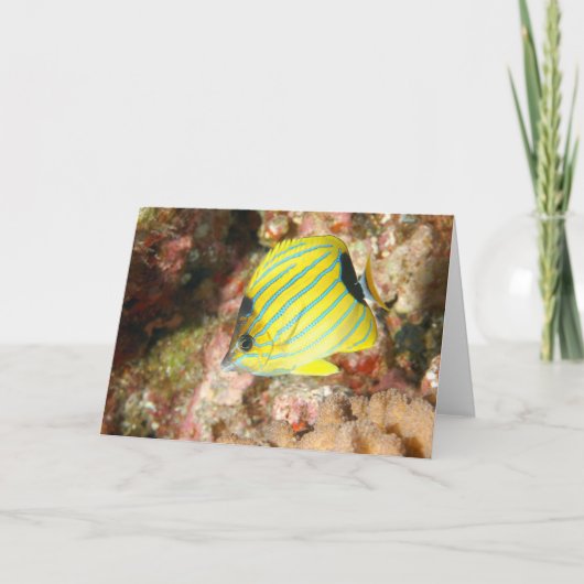 blauwgestreepte vlinder kaart (Voorkant)