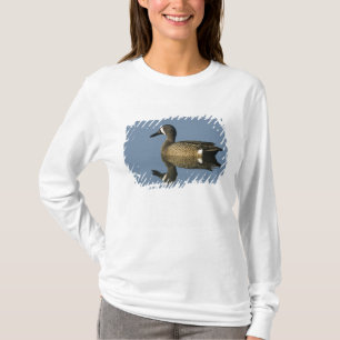 Blauwgevlekte Slobeend, Anas discors,mannetje, Por T-shirt