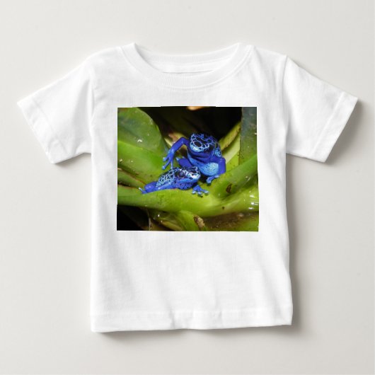 Blauwgifdekkikkers in bladeren 1 (Voorkant)