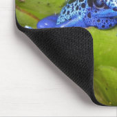 Blauwgifdekkikkers in bladeren 1 muismat (Hoek)