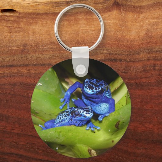 Blauwgifdekkikkers in bladeren 1 sleutelhanger (Voorkant)