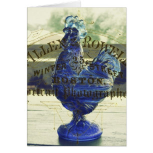 Blauwglas Roo 2
