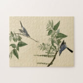 Blauwgrijze vlieger - Amerikaanse vogels van Audub Legpuzzel (Horizontaal)