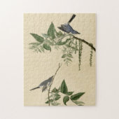 Blauwgrijze vlieger - Amerikaanse vogels van Audub Legpuzzel (Verticaal)