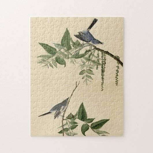 Blauwgrijze vlieger - Amerikaanse vogels van Audub Legpuzzel (Verticaal)