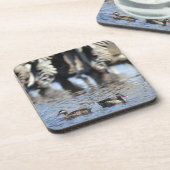 Blauwgroen (Anas erythrorhyncha) paar met rode kie Bier Onderzetter (Linkerzijde)