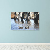 Blauwgroen (Anas erythrorhyncha) paar met rode kie Canvas Afdruk (Insitu (Houten vloer))