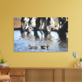 Blauwgroen (Anas erythrorhyncha) paar met rode kie Canvas Afdruk (Insitu (Woonkamer))