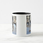 Blauwgroen (Anas erythrorhyncha) paar met rode kie Mok (Midden)