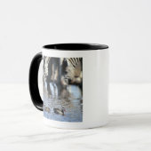 Blauwgroen (Anas erythrorhyncha) paar met rode kie Mok (Voorkant links)