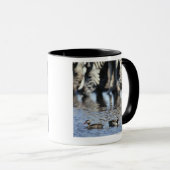 Blauwgroen (Anas erythrorhyncha) paar met rode kie Mok (Voorkant rechts)