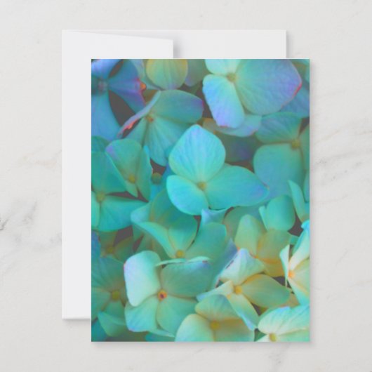 Blauwgroen blauw geel roze hortensia's bedankkaart (Achterkant)