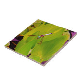 Blauwgroen Blauwe Dragonfly op groen lef. Tegeltje (Zijkant)