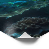 Blauwgroen Blauwe Onderwater Dolfijn Scène II Perfect Poster (Hoek)