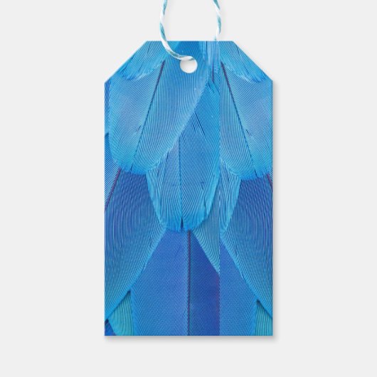 Blauwgroen Blauwe Veren van de Macaw Parrot Cadeaulabel (Voorkant)