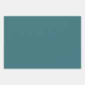 Blauwgroen & Chocolate Plaid Verpakking Papieren B Inpakpapier Vel (Voorkant 2)