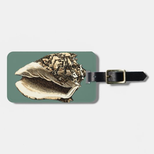 Blauwgroen Conch Shell Bagagelabel (Voorkant horizontaal)