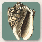 Blauwgroen Conch Shell Bier Onderzetter (Voorkant)