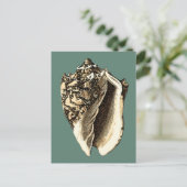 Blauwgroen Conch Shell Briefkaart (Staand voorkant)